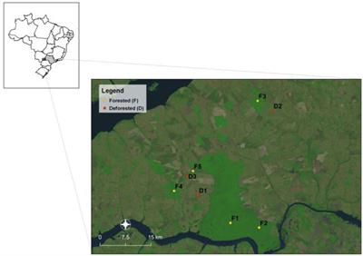 Prevalence of bat viruses associated with land-use change in the Atlantic Forest, Brazil